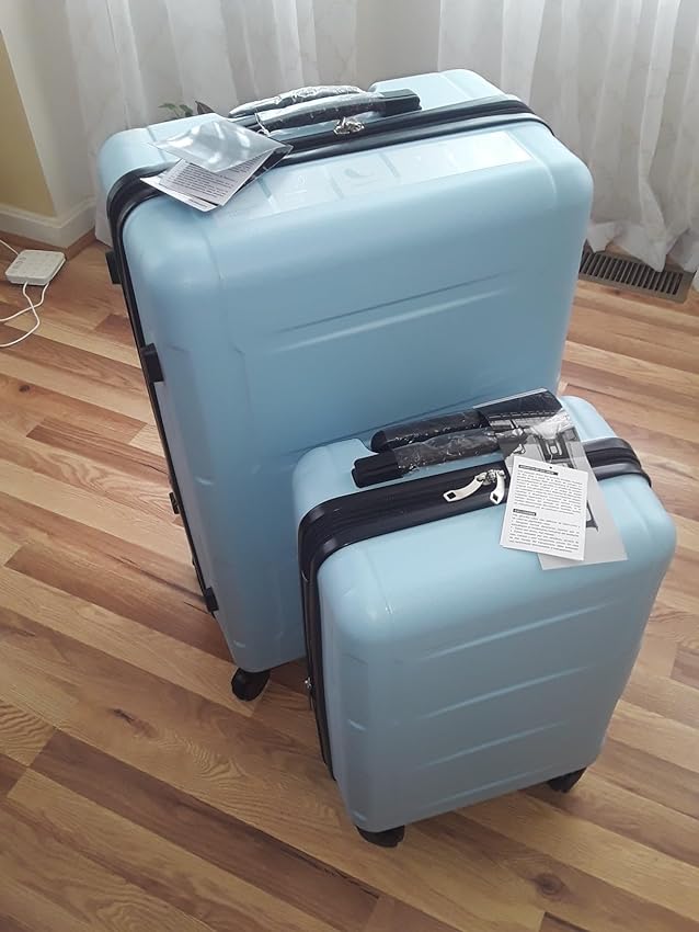 blue set of two luggage wrangler
